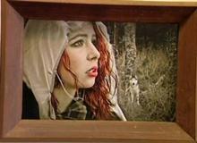 Photography exhibition attracting attention